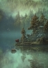Buchcover und Innenansicht für das Buch: Die Elfen (Prachtausgabe)