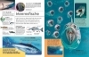 Buchcover und Innenansicht für das Buch: memo Wissen. Tiere