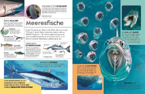 Buchcover und Innenansicht für das Buch: memo Wissen. Tiere