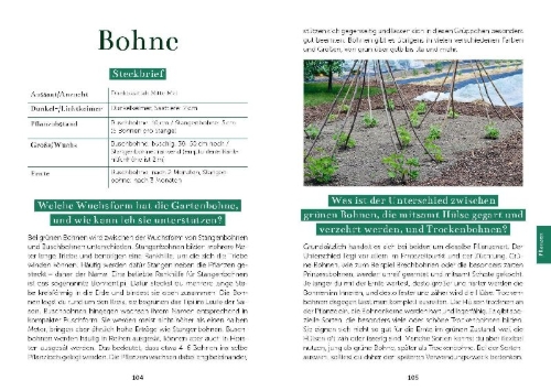 Buchcover und Innenansicht für das Buch: Das Gemüsegarten 1 x 1