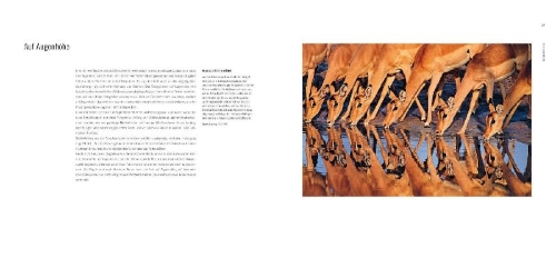 Buchcover und Innenansicht für das Buch: 60 years of Wildlife Photographer of the Year