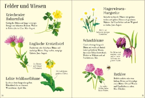 Buchcover und Innenansicht für das Buch: Mein Usborne-Naturführer