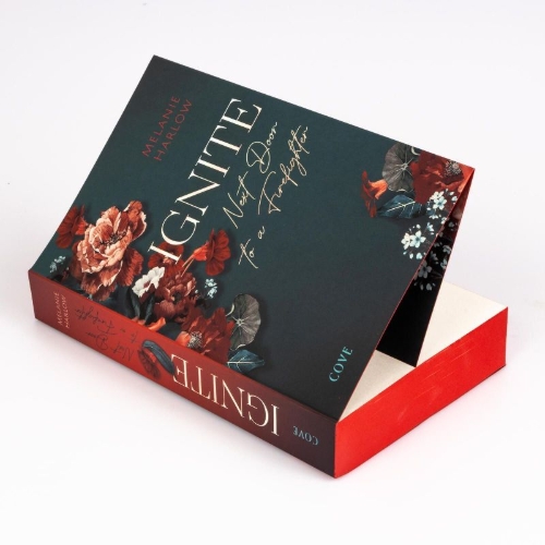 Buchcover und Innenansicht für das Buch: Ignite