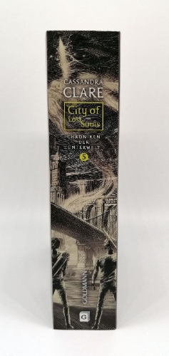 Buchcover und Innenansicht für das Buch: City Of Lost Souls