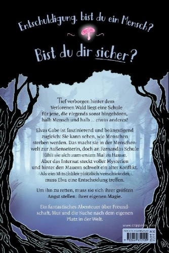 Buchcover und Innenansicht für das Buch: Die Schule der außergewöhnlichen Feen (Bd. 1)