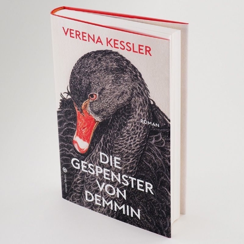Buchcover und Innenansicht für das Buch: Die Gespenster von Demmin