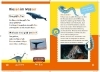 Buchcover und Innenansicht für das Buch: Dein Lesestart: Weißt du schon alles über Supertiere? Ab 1. Klasse