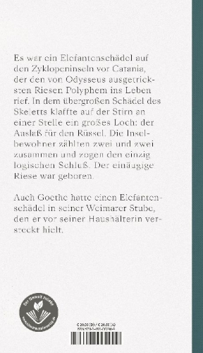 Buchcover und Innenansicht für das Buch: Fliegenpapier