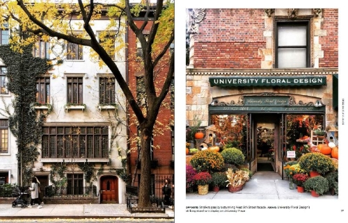 Buchcover und Innenansicht für das Buch: NEW YORK - Wie es keiner kennt