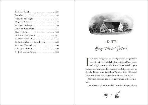 Buchcover und Innenansicht für das Buch: Ruby Fairygale (Band 8) - Das Buch der vergessenen Wunder