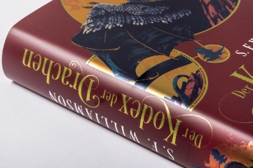 Buchcover und Innenansicht für das Buch: A War of Wyverns