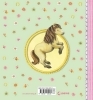 Buchcover und Innenansicht für das Buch: Meine Kindergarten-Freunde (Ponys)