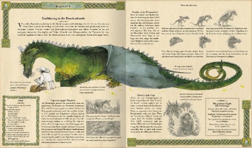 Buchcover und Innenansicht für das Buch: Expedition in die geheime Welt der Drachen