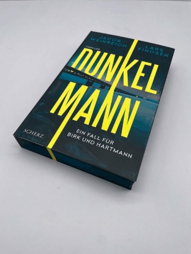 Buchcover und Innenansicht für das Buch: Skygger på silkevejen