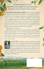 Buchcover und Innenansicht für das Buch: Stranger Things Have Happened