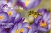 Buchcover und Innenansicht für das Buch: WAS IST WAS Bienen. Summende Genies