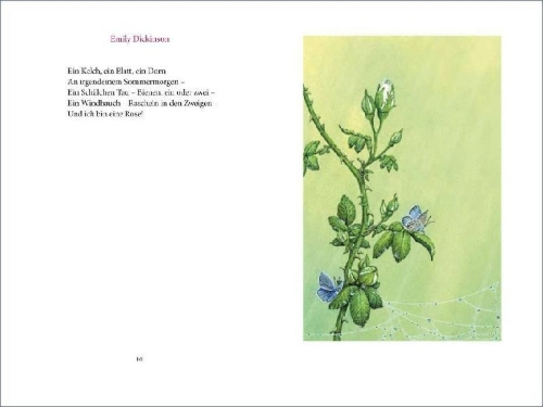 Buchcover und Innenansicht für das Buch: »Ich wollt' dein Bett mit einer Rose schmücken«