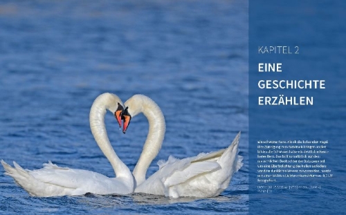 Buchcover und Innenansicht für das Buch: Vögel fotografieren