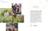 Buchcover und Innenansicht für das Buch: Wildblumen für Balkon und Terrasse