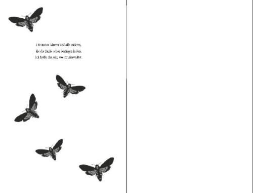 Buchcover und Innenansicht für das Buch: Afterlove