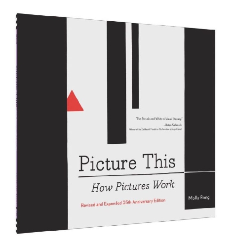Buchcover und Innenansicht für das Buch: Picture This