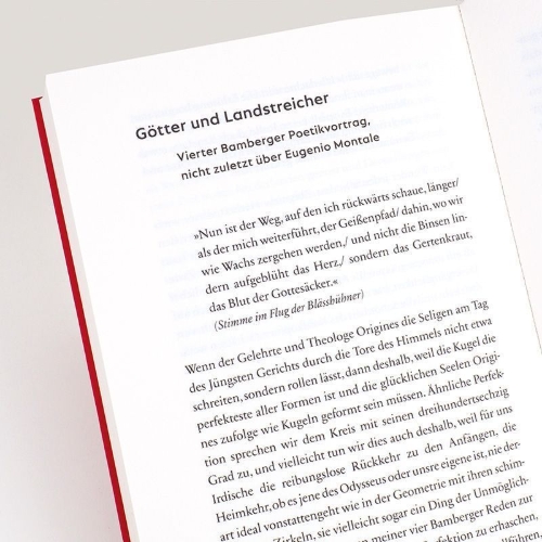 Buchcover und Innenansicht für das Buch: Der glückliche Augenblick