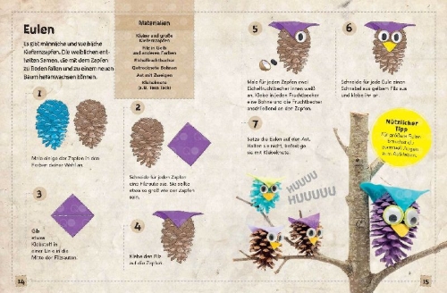 Buchcover und Innenansicht für das Buch: Nature Craft