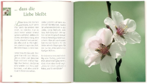Buchcover und Innenansicht für das Buch: ... dass die Liebe bleibt
