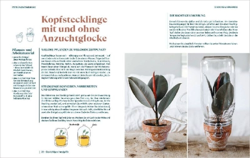 Buchcover und Innenansicht für das Buch: Noyaux & Boutures