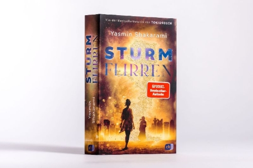 Buchcover und Innenansicht für das Buch: Sturmflirren