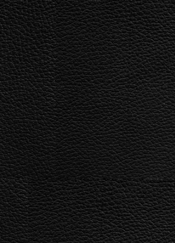 Buchcover und Innenansicht für das Buch: Berserk Master Edition 04