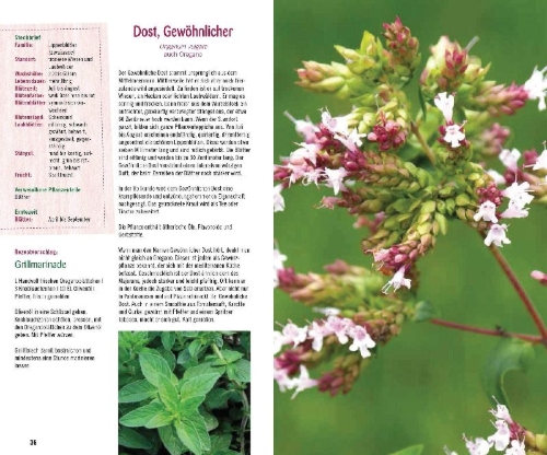 Buchcover und Innenansicht für das Buch: Essbare Kräuter und Wildpflanzen