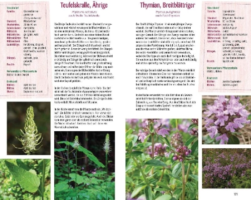 Buchcover und Innenansicht für das Buch: Essbare Kräuter und Wildpflanzen