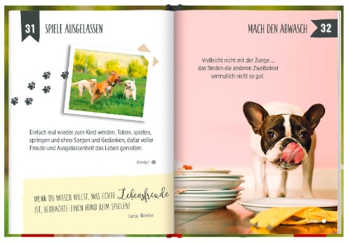 Buchcover und Innenansicht für das Buch: 100 Dinge, die man von einem Hund lernen kann