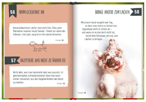 Buchcover und Innenansicht für das Buch: 100 Dinge, die man von einem Hund lernen kann