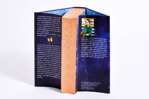 Buchcover und Innenansicht für das Buch: Metal Slinger - Fire & Metal Book 1