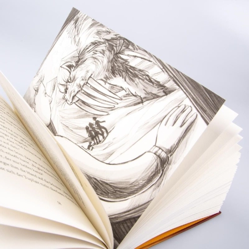 Buchcover und Innenansicht für das Buch: Im Zeichen der Zauberkugel 6: Die Macht des magischen Zirkels