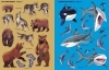 Buchcover und Innenansicht für das Buch: Die große Sticker-Tierwelt: Gefährliche Tiere