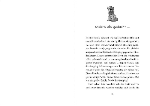 Buchcover und Innenansicht für das Buch: Die Straßengäng (Band 3) - Hochmut kommt vor der Falle
