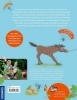 Buchcover und Innenansicht für das Buch: Judiths kleine Farm, Band 3,
