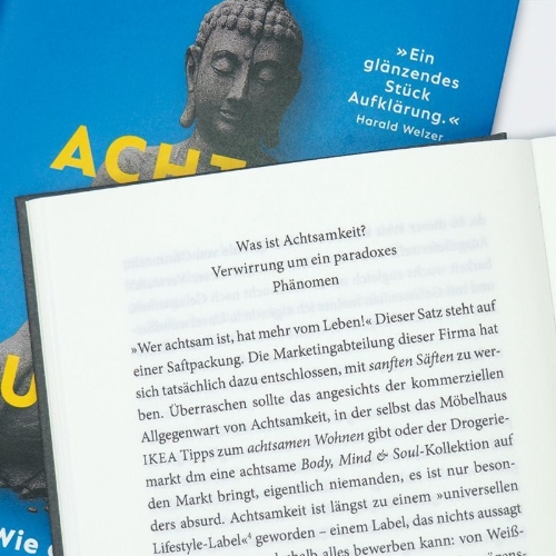 Buchcover und Innenansicht für das Buch: Achtsam geht die Welt zugrunde