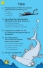 Buchcover und Innenansicht für das Buch: 50 Quiz-Karten: Rätsel aus der Tierwelt
