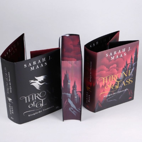Buchcover und Innenansicht für das Buch: Queen of Shadows