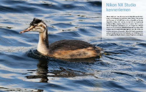 Buchcover und Innenansicht für das Buch: Nikon NX Studio
