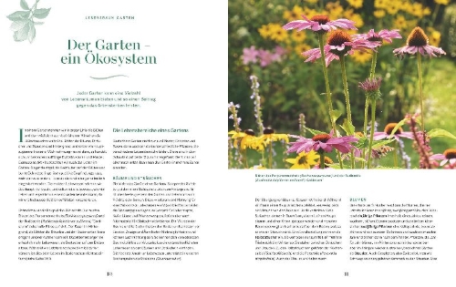 Buchcover und Innenansicht für das Buch: Die Welt in meinem Garten