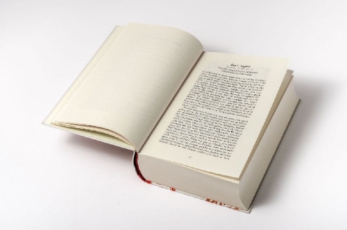 Buchcover und Innenansicht für das Buch: Der abenteuerliche Simplicissimus