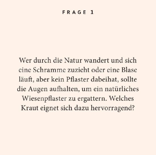 Buchcover und Innenansicht für das Buch: Kräuter-Quiz