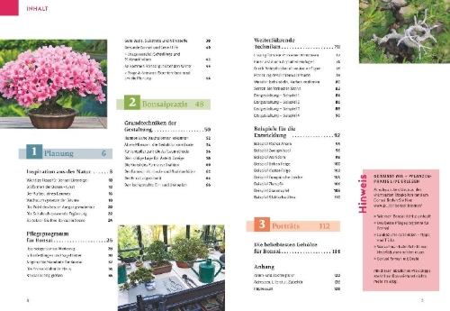 Buchcover und Innenansicht für das Buch: Bonsai ziehen, gestalten und pflegen