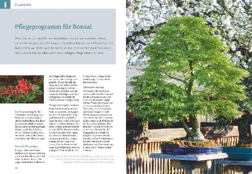 Buchcover und Innenansicht für das Buch: Bonsai ziehen, gestalten und pflegen