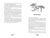 Buchcover und Innenansicht für das Buch: Akasia Wood - Wächterin des Waldes